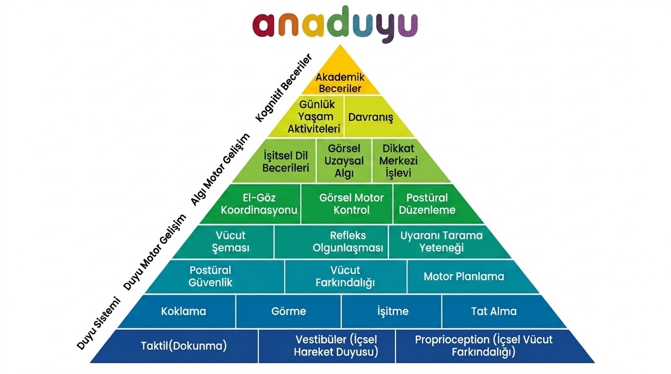 Ergoterapi — Anaduyu